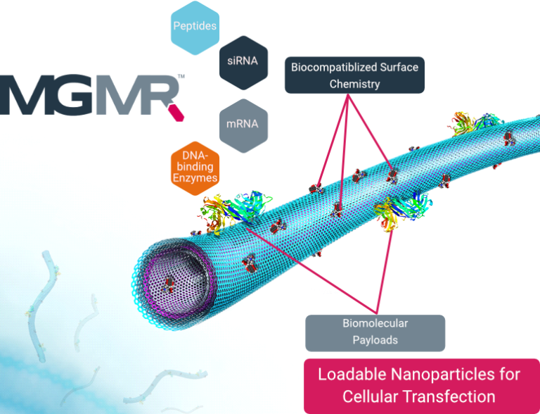 MGMR-Loadable Nano-2 - Biopact CT - Biopact CT